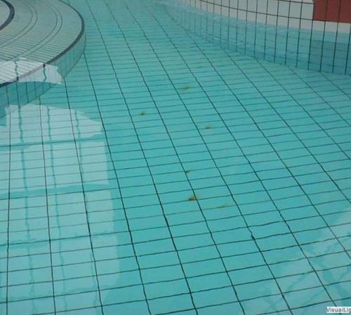 Inspectie Orka zwembadreparatie