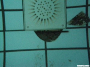 Tegelreparatie bij inlaatrooster Orka zwembadreparatie