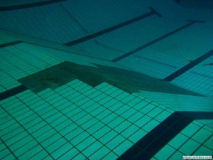 Tegelreparatie schuine wand duiklkuil Orka zwembadreparatie