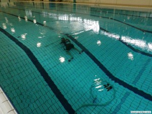 Tegelreparatie schuine wand duiklkuil Orka zwembadreparatie