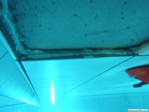 Wandtegel defect Orka zwembadreparatie